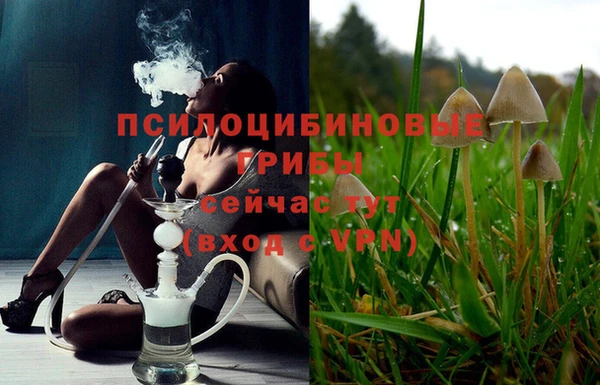 хмурый Алексеевка