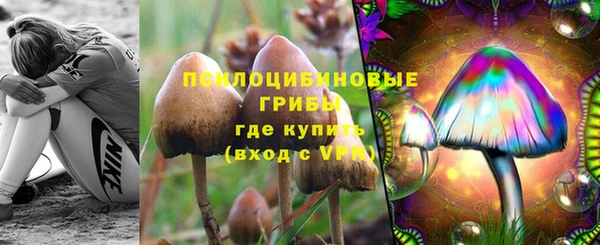 индика Алзамай