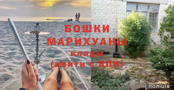 метадон Алексин