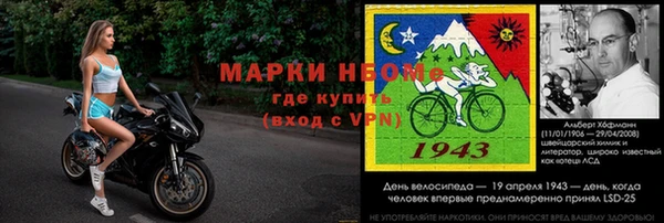 индика Алзамай