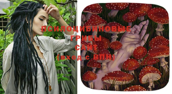 хмурый Алексеевка
