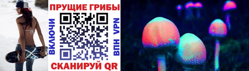 МЕГА маркетплейс Камешково Псилоцибиновые грибы Magic Shrooms хочу наркоту